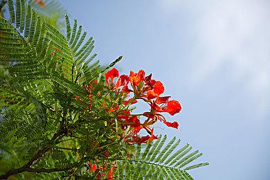 美任发布《宝可梦传说：阿尔宙斯》新短片 展示洗翠地区季节昼夜变化